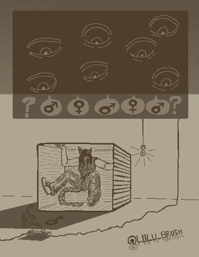 Schrödinger's Gender